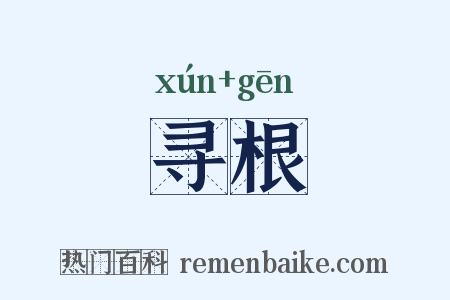 寻根是什么意思的图片
